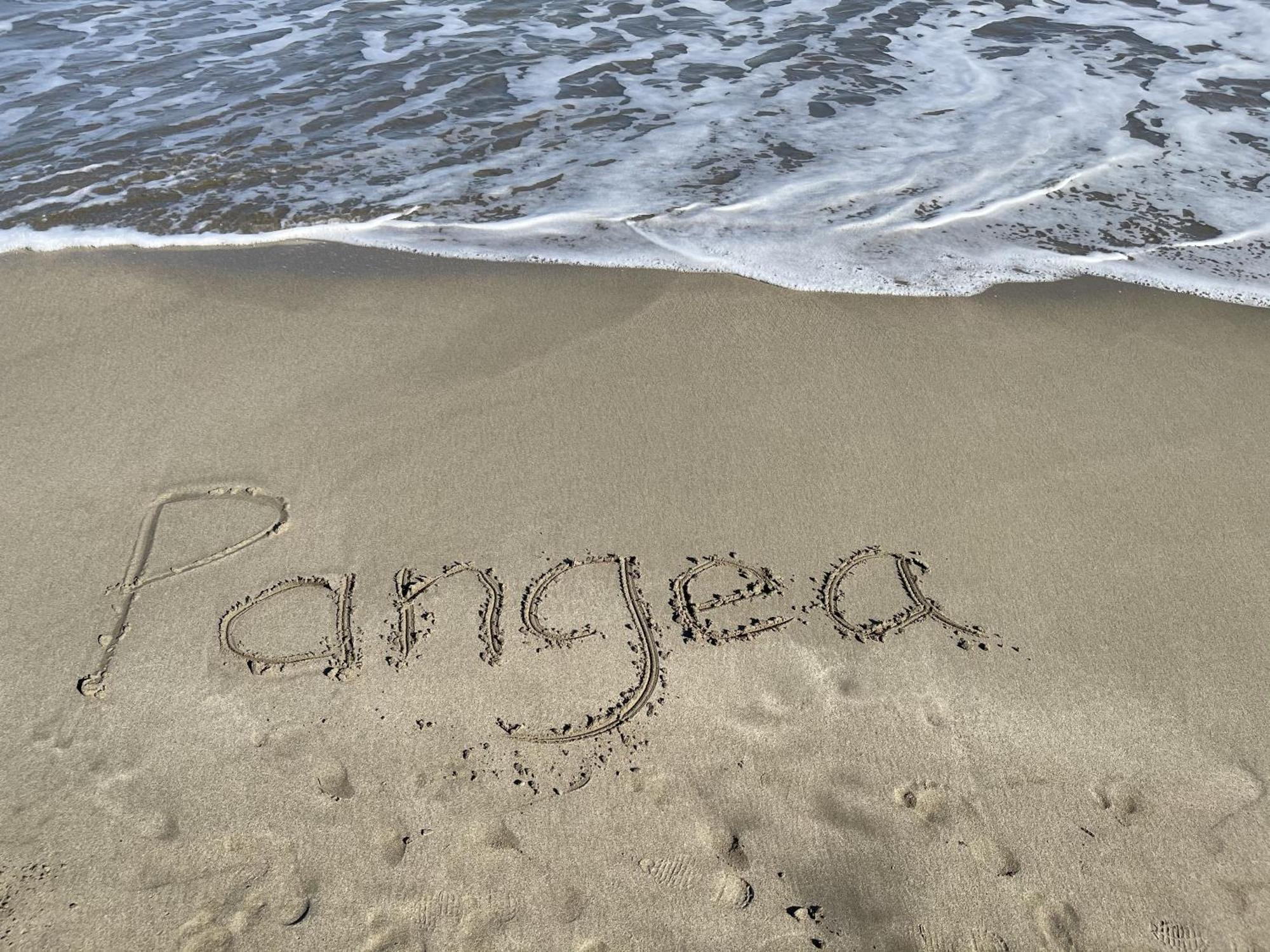 Casa Blanca Beachfront House With Shared Pool Access Pangea Lodge 만사니요 외부 사진